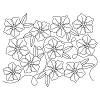forget me knot e2e 001